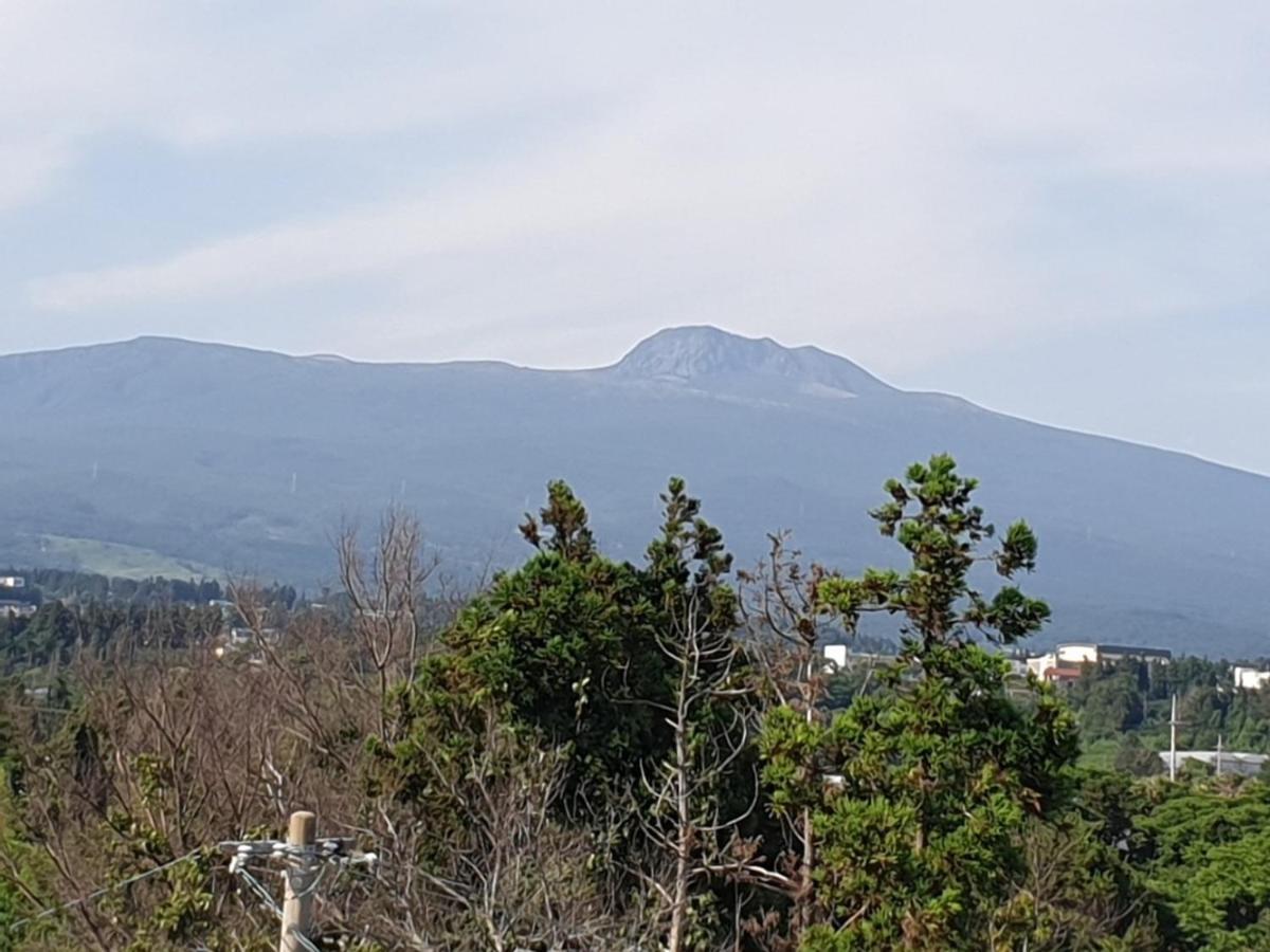 Jeju Soroan Pension Seogwipo Bagian luar foto